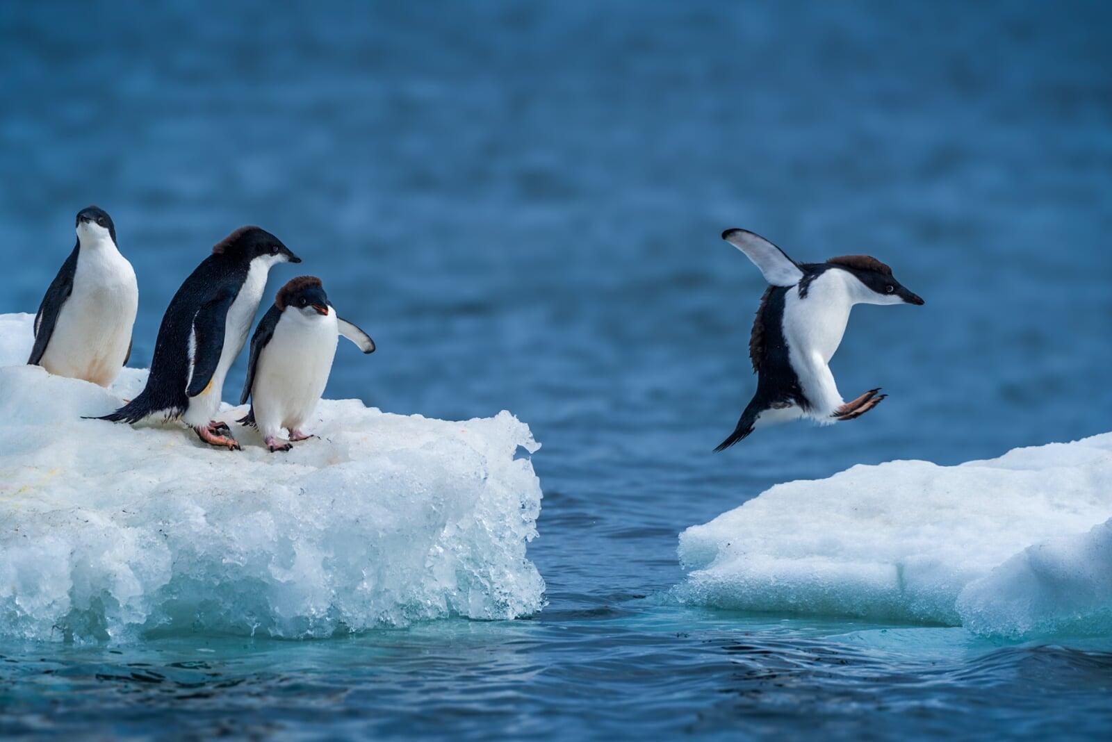 Explore Arctic Circle