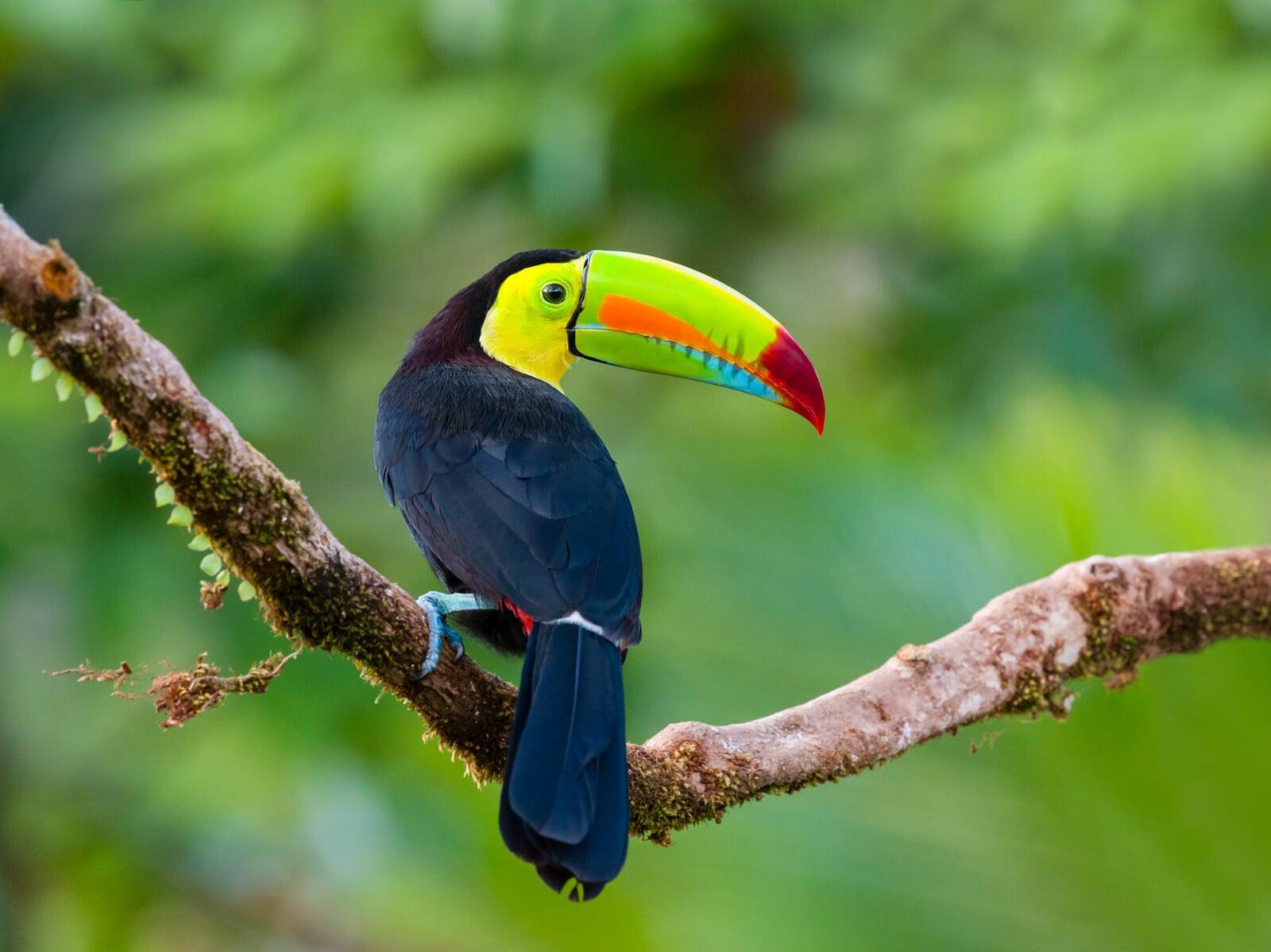 Explore Central America